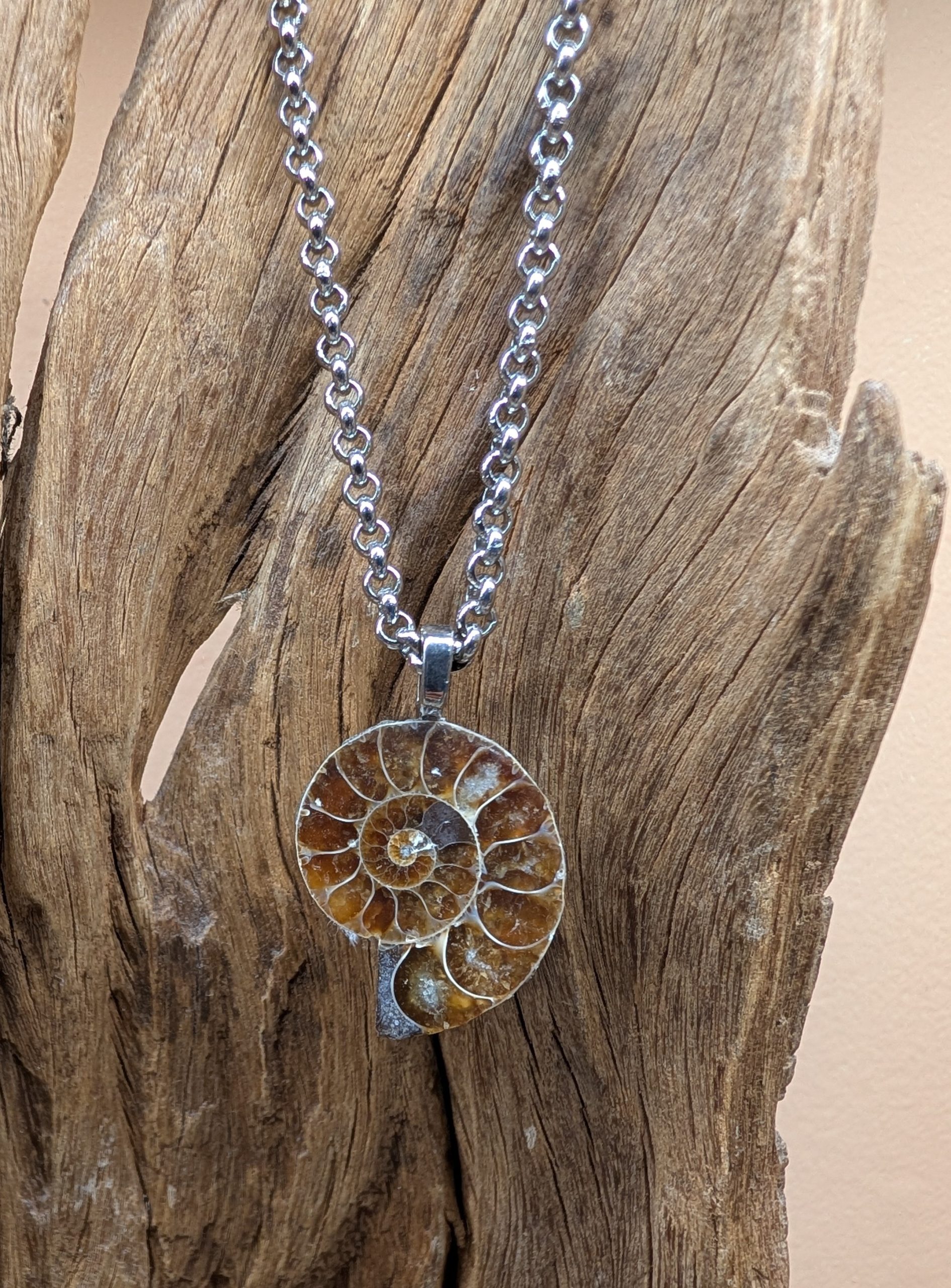 22108-scaled-1.jpg S.s necklace with ammonite pendant - Image 1