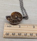 S.s necklace with ammonite pendant - Image 3