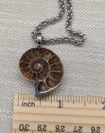 S.s necklace with ammonite pendant - Image 2